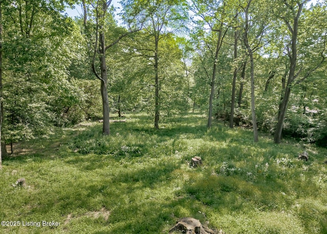 4825 Manslick Rd, Louisville, KY 40216 - view of local wilderness