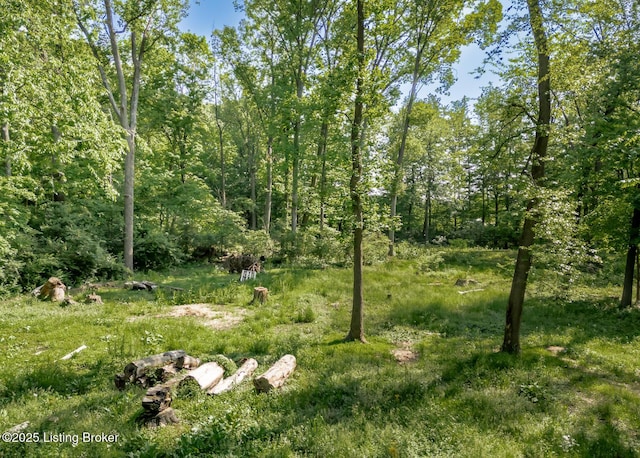 4825 Manslick Rd, Louisville, KY 40216 - view of local wilderness