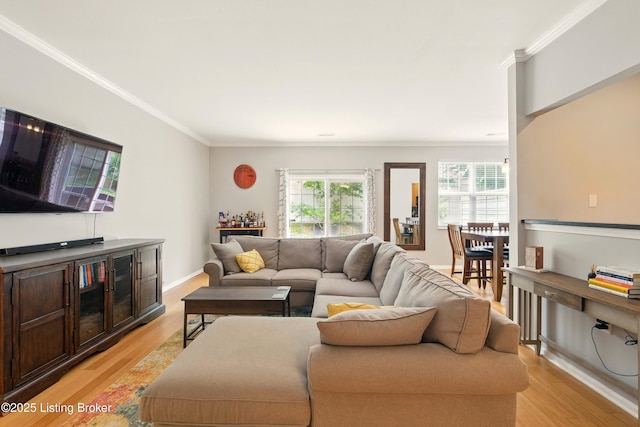 4926 Merton Sq, Louisville, KY 40241 - living area featuring light wood finished floors and crown molding