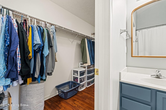 5500 Worthington Place Dr, Louisville, KY 40241 - spacious closet with a sink and wood finished floors