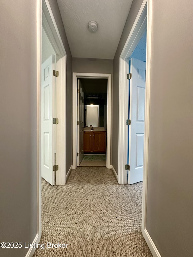 512 Auburn Oaks Dr, Louisville, KY 40214 - corridor with baseboards and light colored carpet