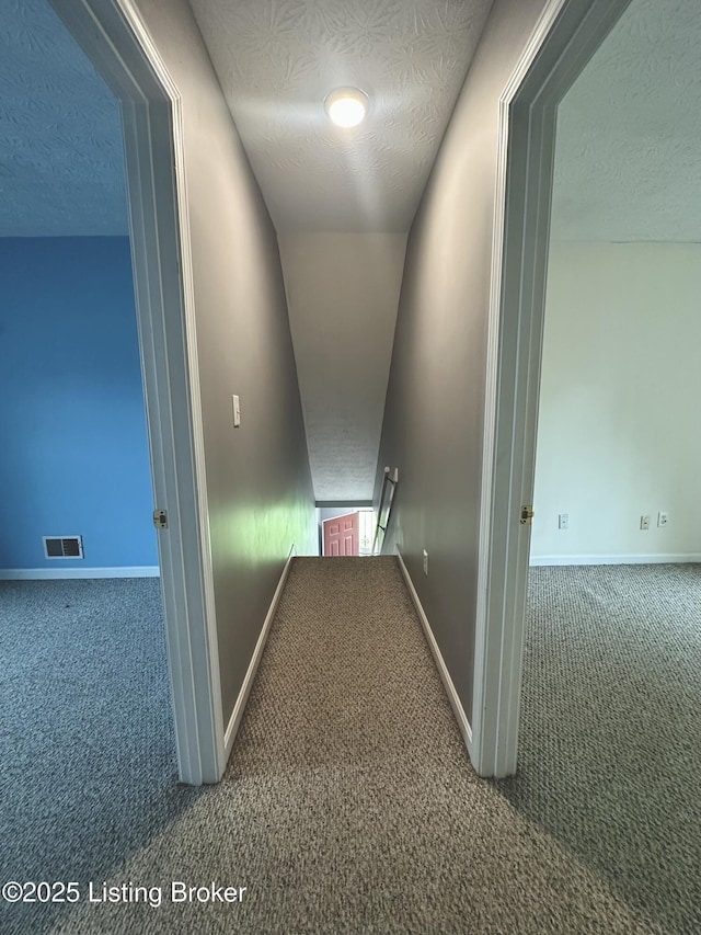 512 Auburn Oaks Dr, Louisville, KY 40214 - hall with carpet floors, a textured ceiling, and baseboards