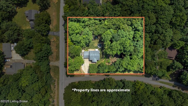 404 Bellemeade St, Brandenburg, KY 40108 - aerial view of a heavily wooded area