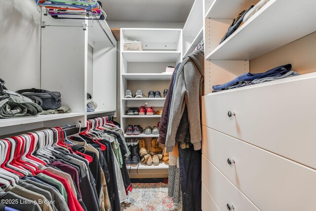 404 Bellemeade St, Brandenburg, KY 40108 - view of spacious closet