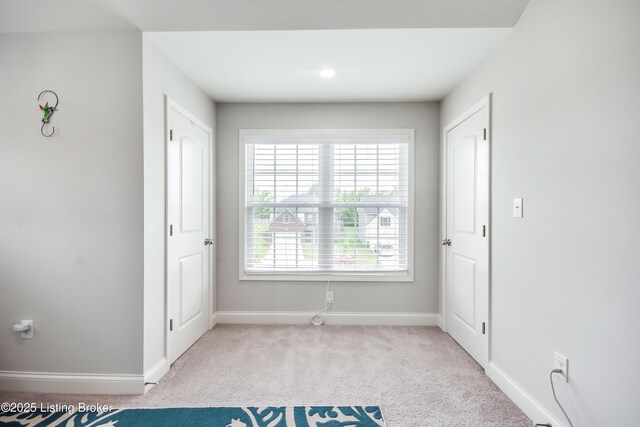 16206 Spitfire Lake Path, Louisville, KY 40245 - photo 59