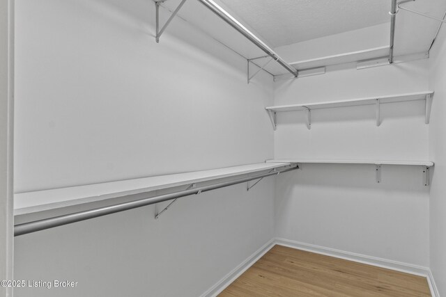 3205 Lake Pointe Ct, Crestwood, KY 40014 - spacious closet featuring light wood-type flooring