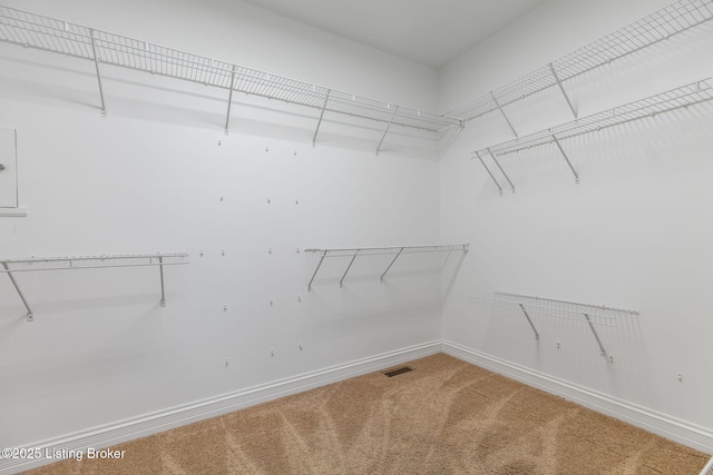 15108 Chestnut Ridge Cir, Louisville, KY 40245 - walk in closet featuring light colored carpet
