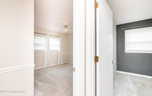 922 Fenley Ave, Louisville, KY 40222 - hall with carpet floors and baseboards
