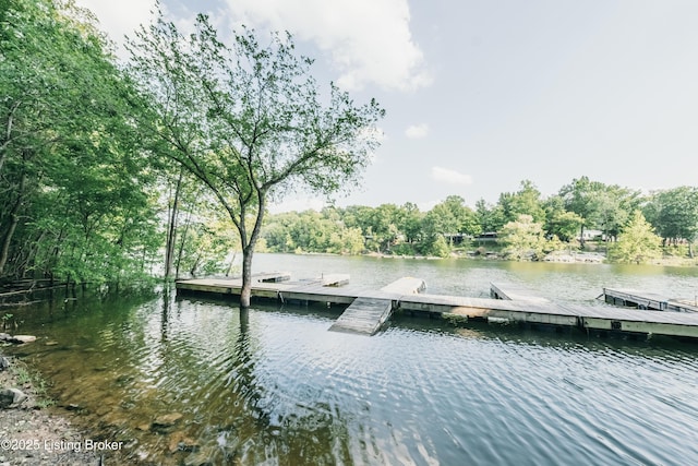 524 Lake Forest Ln, Westview, KY 40178 - dock area featuring a water view