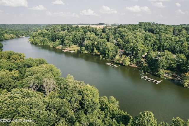 524 Lake Forest Ln, Westview, KY 40178 - bird's eye view of a large body of water