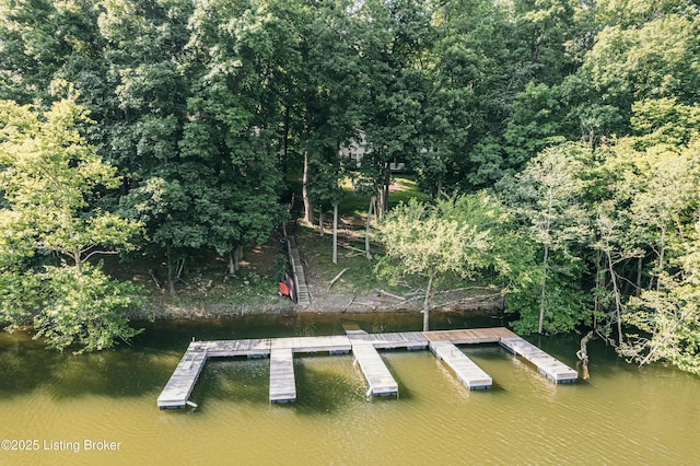 524 Lake Forest Ln, Westview, KY 40178 - dock area featuring a water view