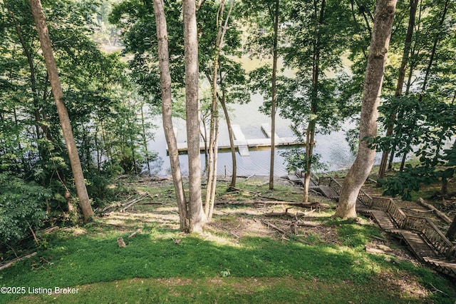 524 Lake Forest Ln, Westview, KY 40178 - view of yard