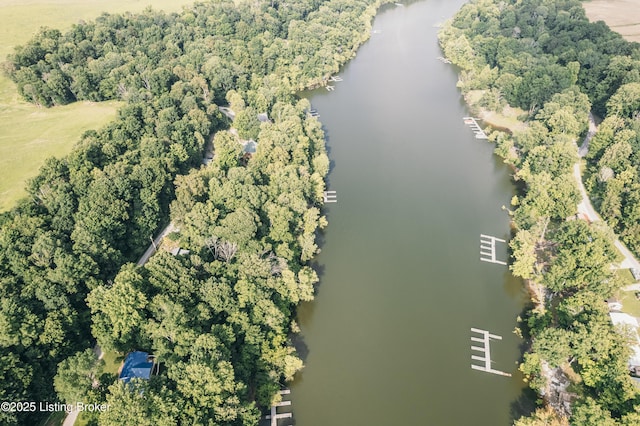 524 Lake Forest Ln, Westview, KY 40178 - drone / aerial view of a large body of water