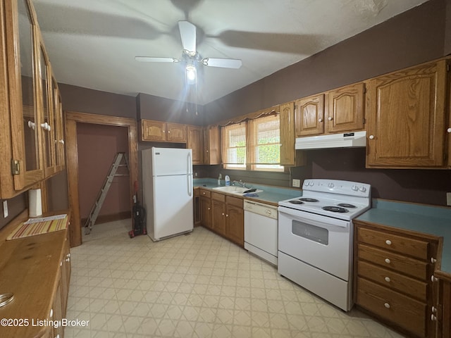 816 Highland Ave, Carrollton, KY 41008 - kitchen with white appliances, under cabinet range hood, ceiling fan, light floors, and a sink