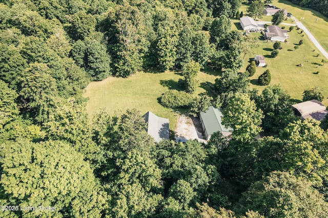905 Camp Greenshores Rd, Mcdaniels, KY 40152 - aerial overview of property's location with a forest