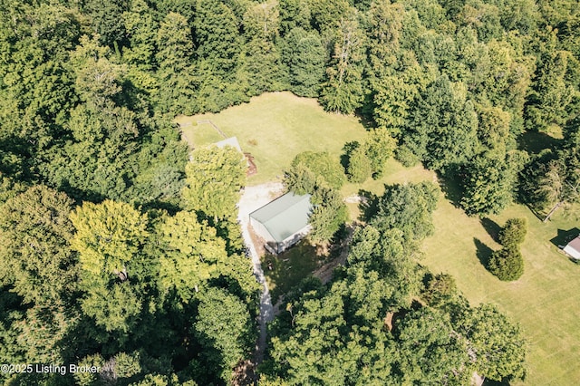 905 Camp Greenshores Rd, Mcdaniels, KY 40152 - view of property location