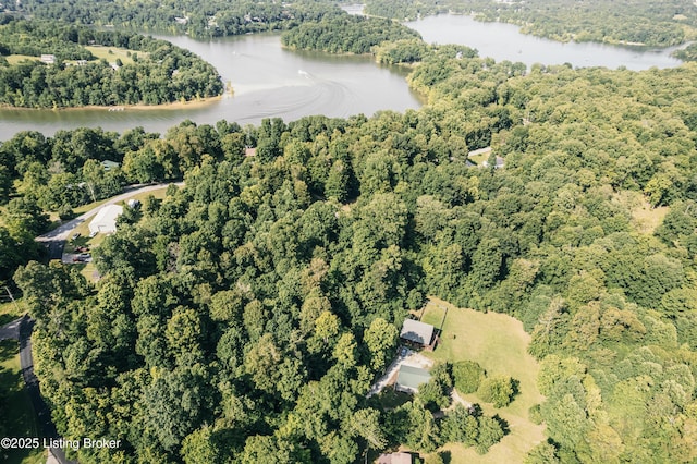905 Camp Greenshores Rd, Mcdaniels, KY 40152 - aerial view of property and surrounding area with a large body of water and a forest
