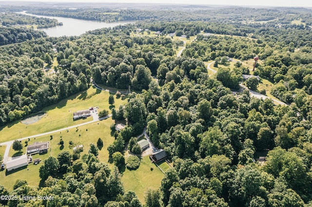 905 Camp Greenshores Rd, Mcdaniels, KY 40152 - bird's eye view of a nearby body of water and a heavily wooded area
