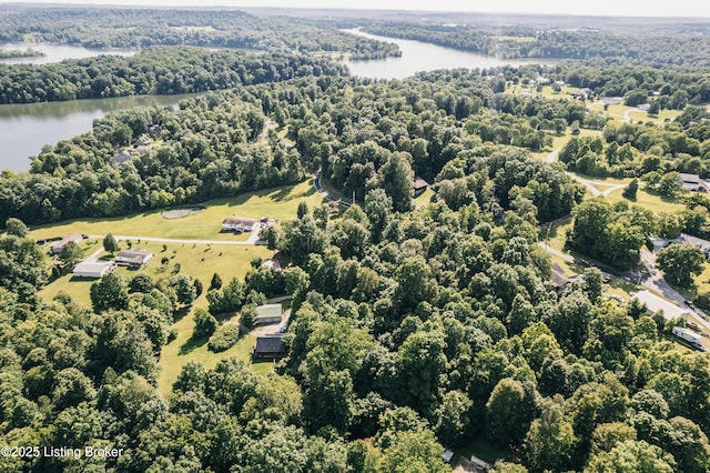 905 Camp Greenshores Rd, Mcdaniels, KY 40152 - aerial view of a nearby body of water