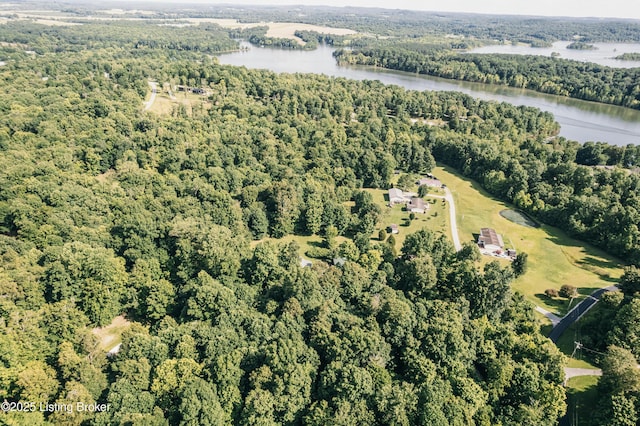 905 Camp Greenshores Rd, Mcdaniels, KY 40152 - aerial view of property's location with a large body of water and a forest