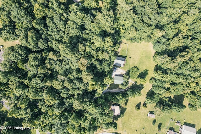 905 Camp Greenshores Rd, Mcdaniels, KY 40152 - aerial view of property and surrounding area