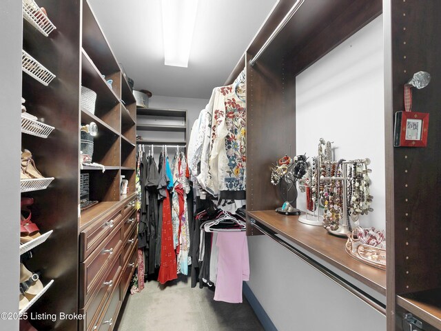 1300 Cardinal Dr Unit 301, Louisville, KY 40213 - photo 28