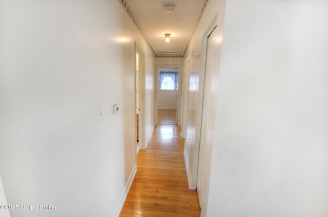 11812 Poplarwood Dr, Louisville, KY 40272 - photo 8