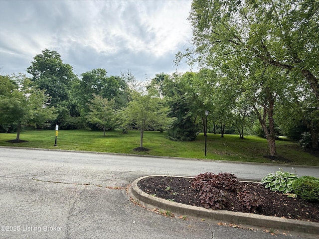 5303-5307 Worthington Place Dr, Louisville, KY 40241 - photo 2