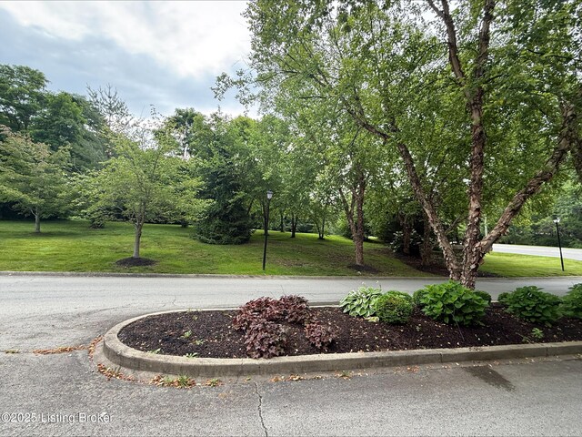 5303-5307 Worthington Place Dr, Louisville, KY 40241 - photo 3