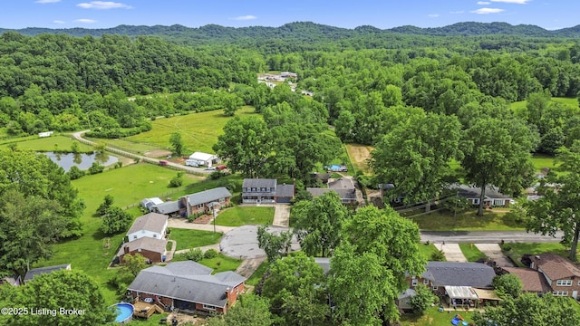 3605 Whitehall Ct, Louisville, KY 40272 - aerial view of residential area featuring a forest and mountains
