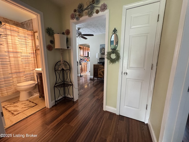 1236 Carrico Ave, Louisville, KY 40215 - corridor with dark wood-style flooring, baseboards, and arched walkways