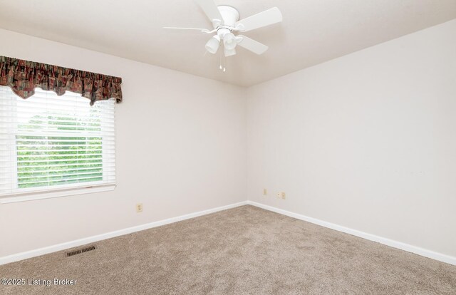 10207 Cambrie Ct, Louisville, KY 40241 - photo 46