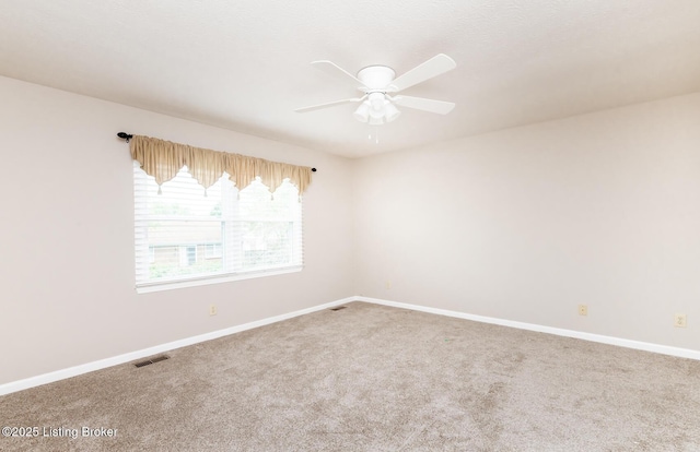 10207 Cambrie Ct, Louisville, KY 40241 - photo 52