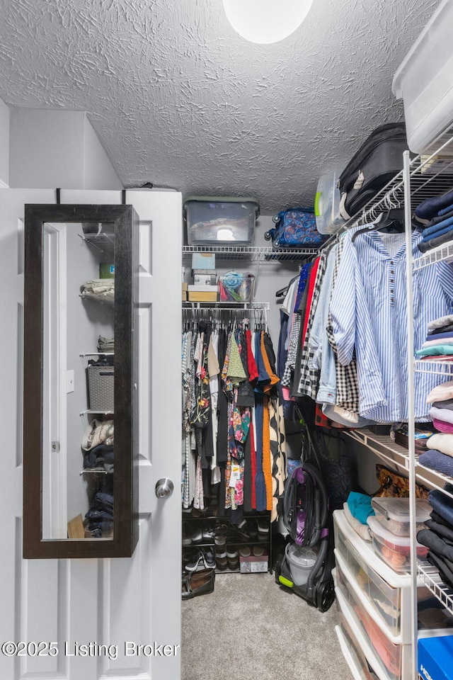 8506 Hunting Stock Pl, Louisville, KY 40291 - walk in closet with carpet flooring