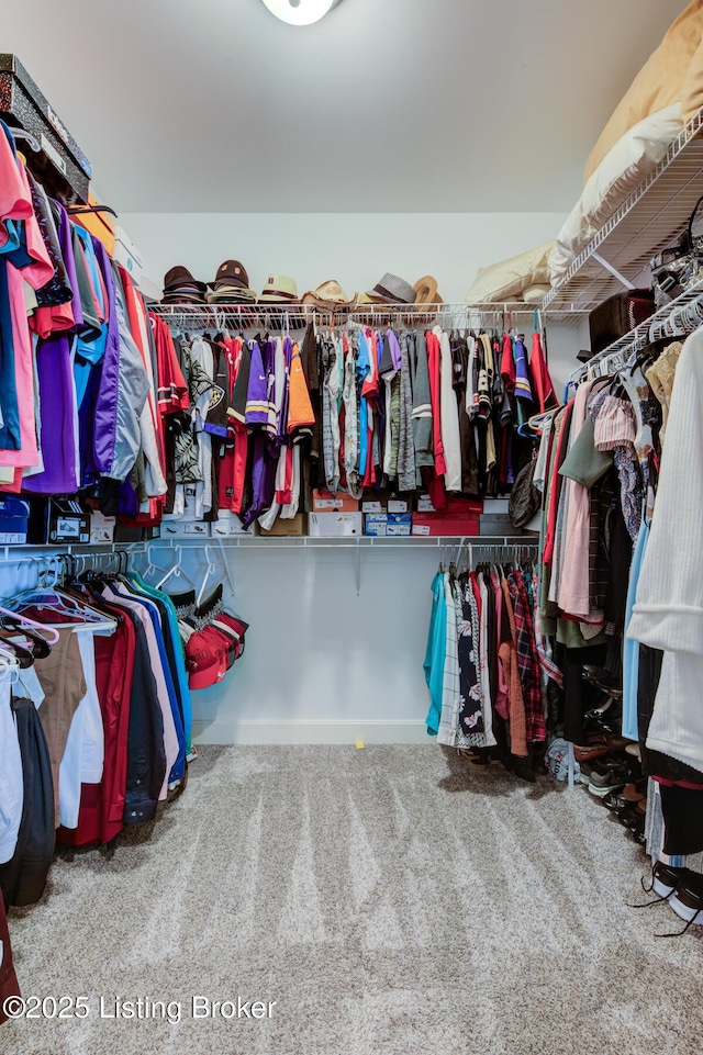 1622 Church Side Dr, Goshen, KY 40026 - spacious closet featuring carpet floors