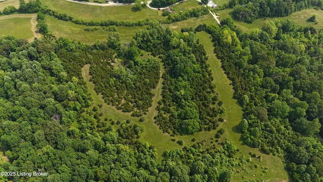 0 Locust Grove Rd, Bonnieville, KY 42713 - photo 2