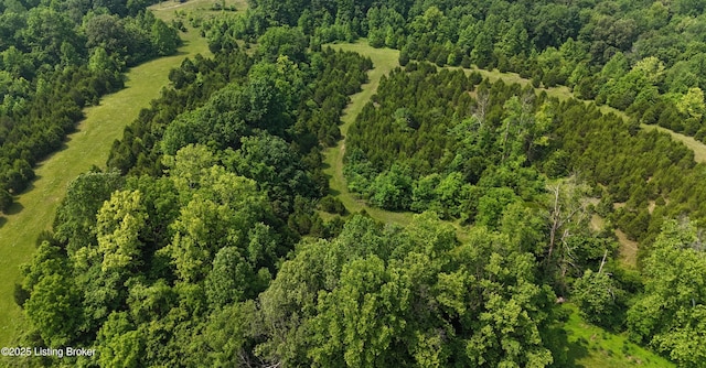 0 Locust Grove Rd, Bonnieville, KY 42713 - photo 3