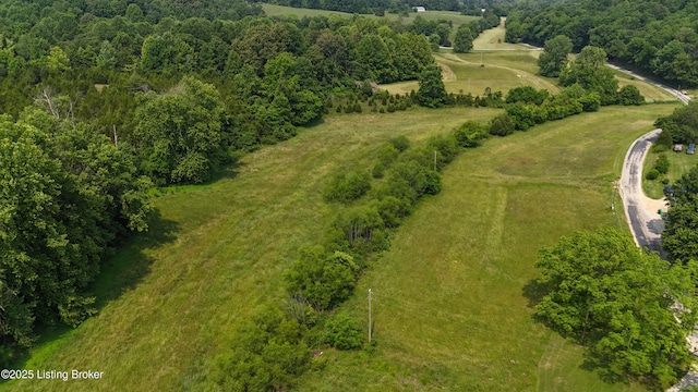 0 Locust Grove Rd, Bonnieville, KY 42713 - photo 4