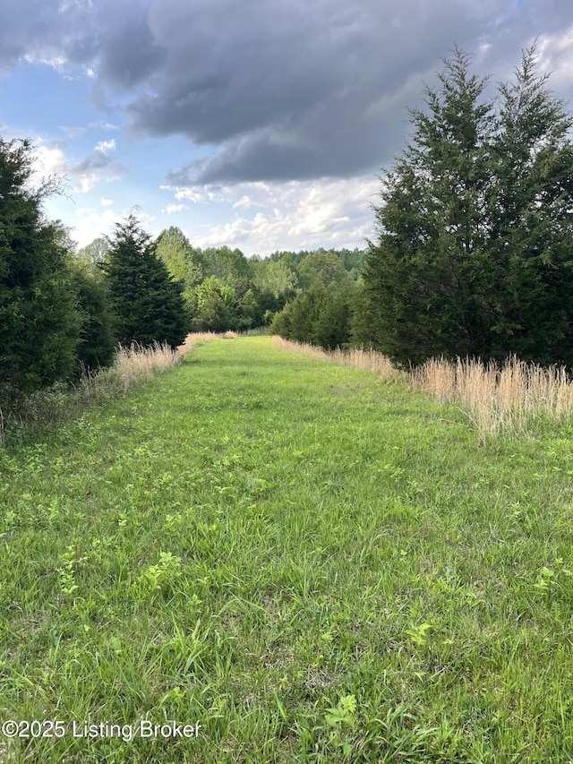 0 Locust Grove Rd, Bonnieville, KY 42713 - photo 5