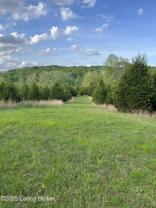 0 Locust Grove Rd, Bonnieville, KY 42713 - photo 6