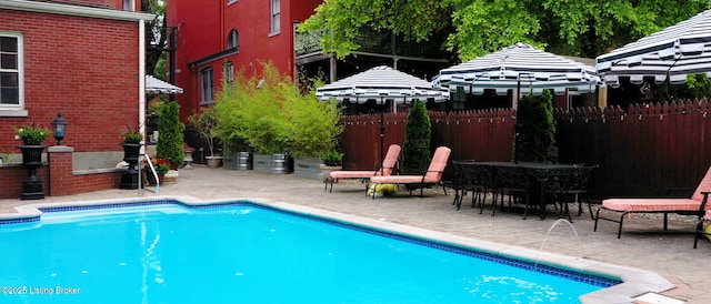 1212 S 2nd St, Louisville, KY 40203 - view of swimming pool featuring a patio area