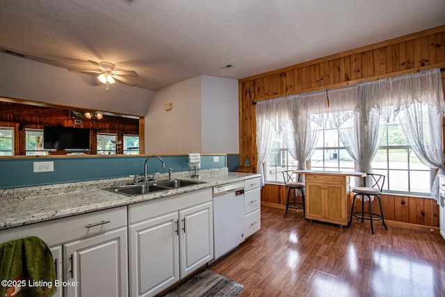 201 Wildflower Ln, Big Springs, KY 40175 - kitchen with a sink, dishwasher, wood walls, wood finished floors, and ceiling fan