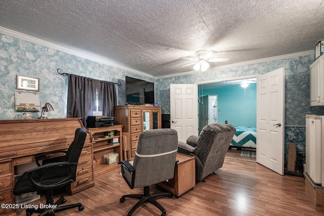 201 Wildflower Ln, Big Springs, KY 40175 - office with wallpapered walls, wood finished floors, ceiling fan, crown molding, and a textured ceiling