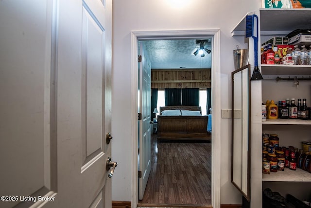 201 Wildflower Ln, Big Springs, KY 40175 - hall featuring wood finished floors