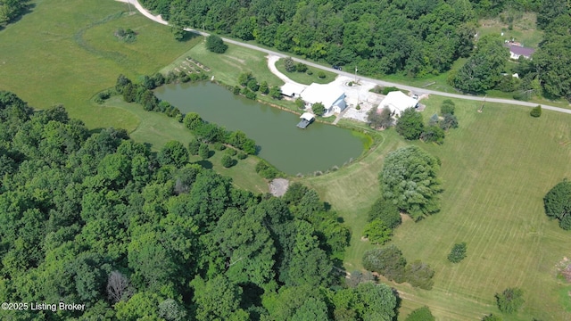 201 Wildflower Ln, Big Springs, KY 40175 - aerial overview of property's location with a nearby body of water and a forest