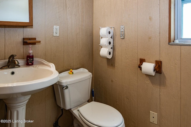 201 Wildflower Ln, Big Springs, KY 40175 - bathroom with toilet and wooden walls