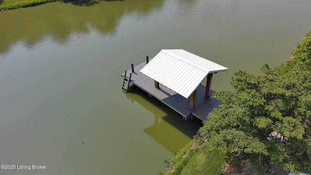 201 Wildflower Ln, Big Springs, KY 40175 - view from above of property with a nearby body of water