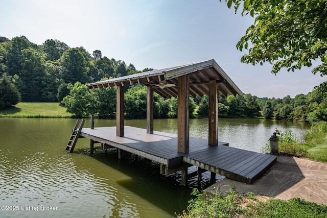 201 Wildflower Ln, Big Springs, KY 40175 - dock featuring a water view and a wooded view