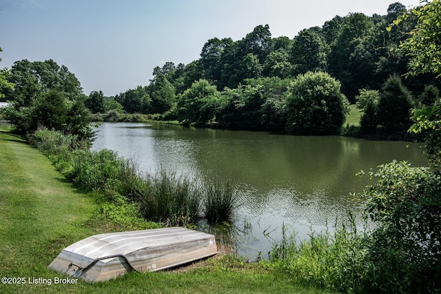 201 Wildflower Ln, Big Springs, KY 40175 - water view with a forest