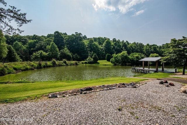 201 Wildflower Ln, Big Springs, KY 40175 - water view